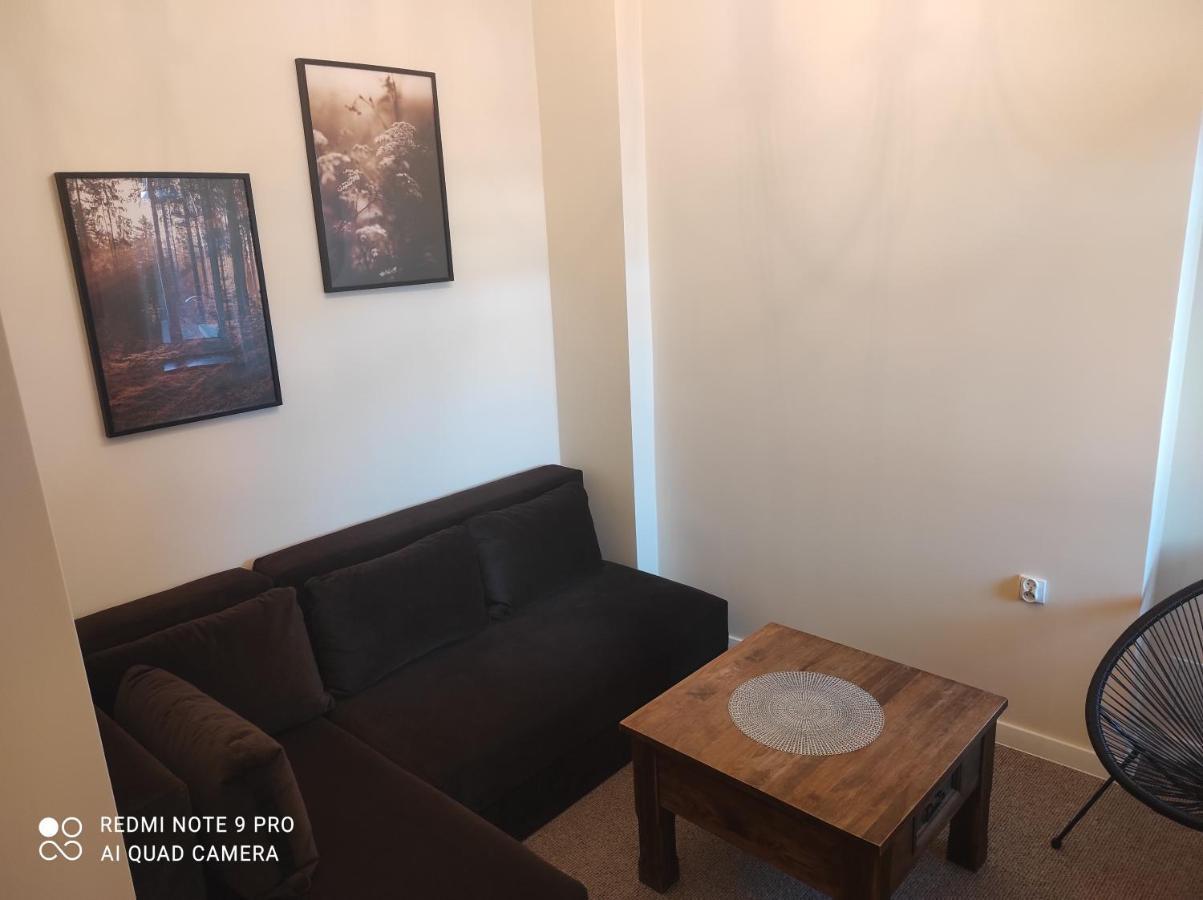 Bocianowka Z Sauna I Fotelem Masujacym W Cenie Ustron Dış mekan fotoğraf